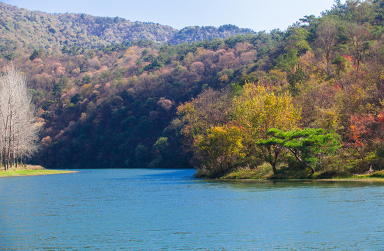 巴岩水库