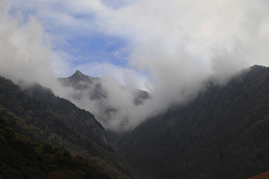 高山丘壑