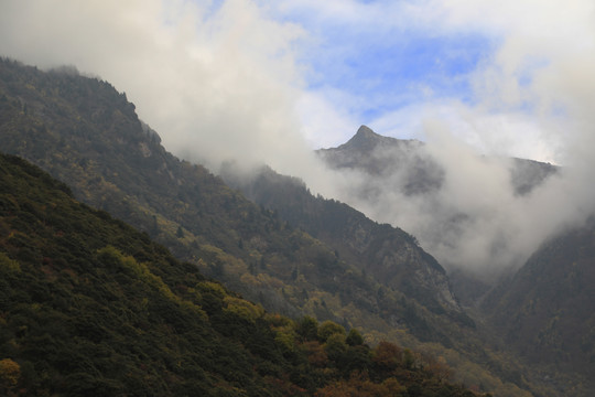 高山丘壑