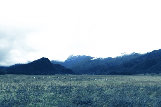 遠山草原風景
