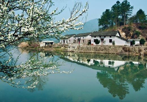 秋浦河风光