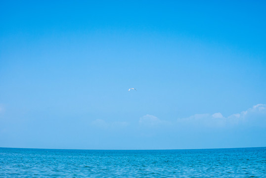 青海湖