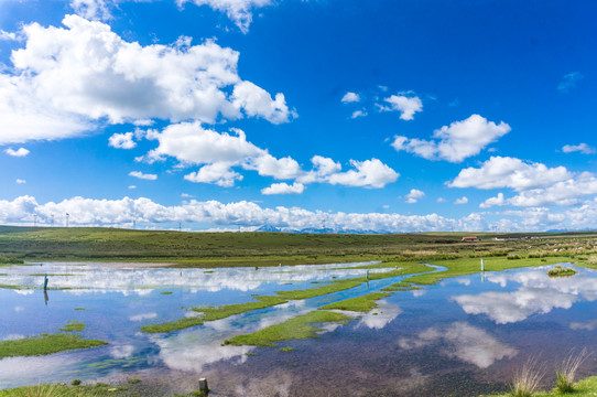 青海湖