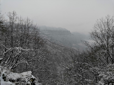 雪景