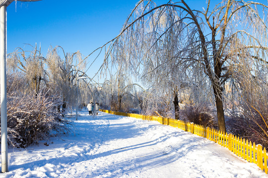 雪后小路