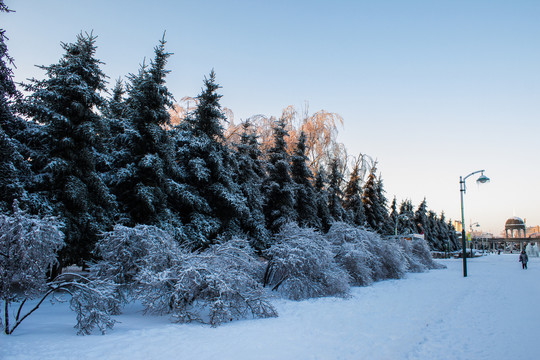 雪后广场一角