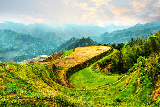 梯田风景