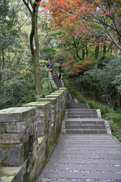 登山道