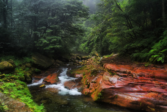 林间溪流