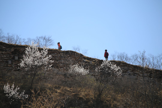 攀登野长城