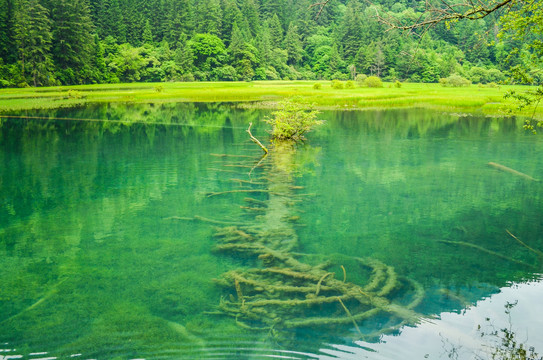 大美九寨沟