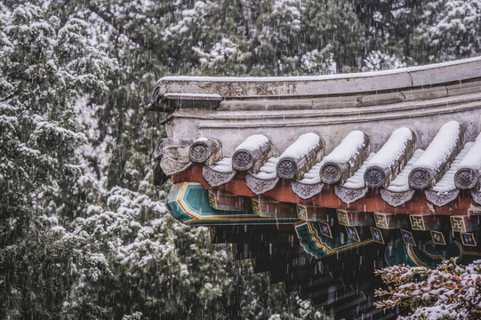 景山公园雪景