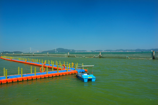 虎门大桥海景