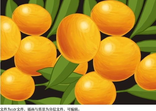 橘子手繪