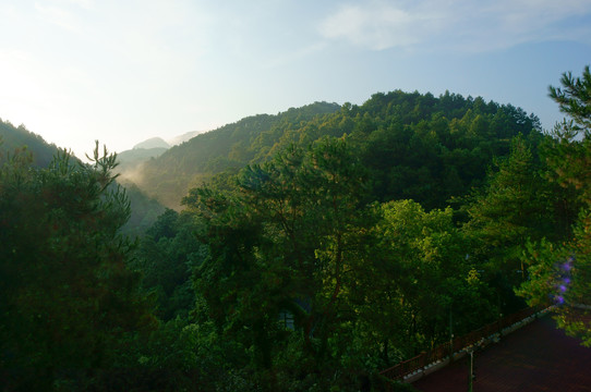 高山晨雾