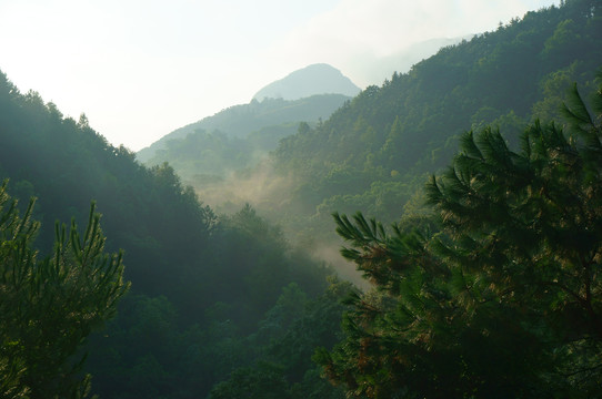 高山晨雾