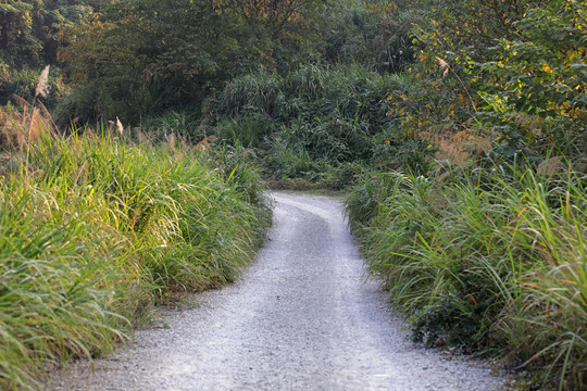 乡间小路