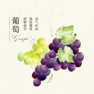 葡萄手繪插畫