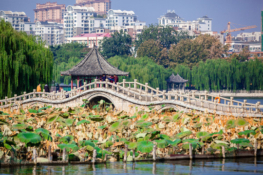 济南大明湖景区