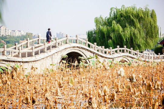 济南大明湖景区