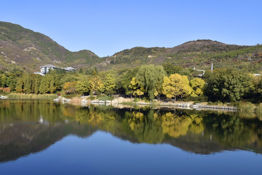 北京植物园秋意渐浓美景如画