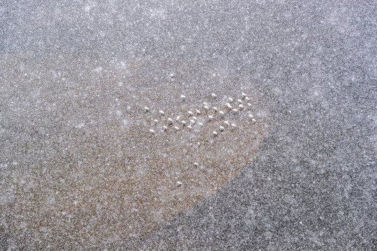 俯拍下雪时站在河滩上的白鹭