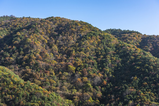 大山