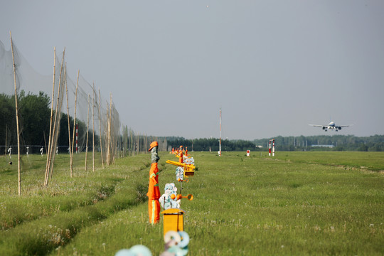 机场驱鸟设施