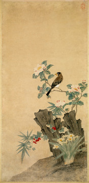 趙壽蠟嘴茶花圖