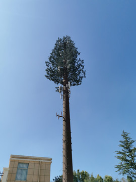 仿大树5G移动通信塔