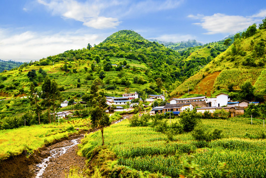 山村梯田