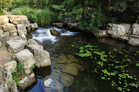 北京奥森公园湿地风光