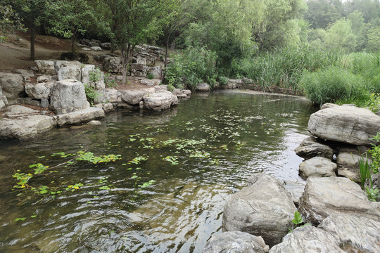 北京奥森公园湿地风光