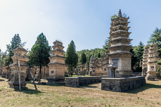 河南登封少林寺塔林