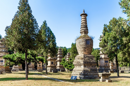 河南登封少林寺塔林