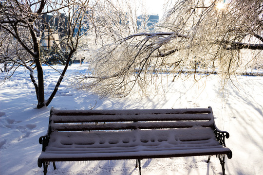 雪后公园一角