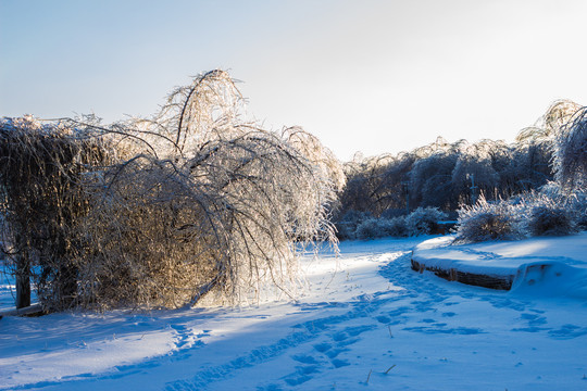 雪地小路