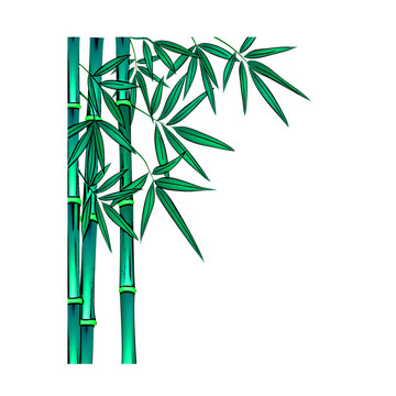 竹子植物中国风元素
