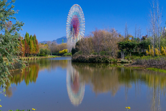 色彩斑斓湿地