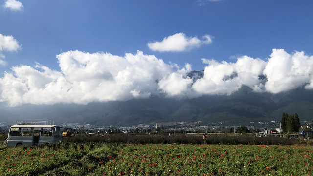 云南拉市海花海