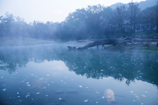 杭州太子湾公园晨雾