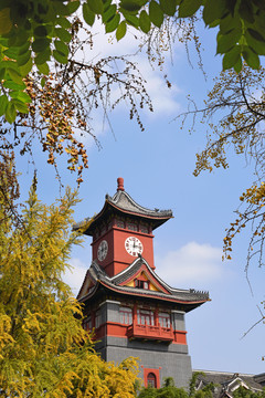 四川大学华西坝钟楼成都银杏