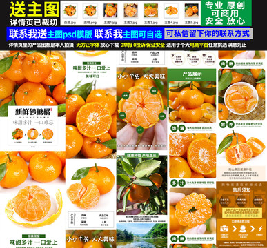 砂糖橘詳情頁(yè)