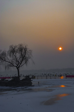 夕阳下的冰上乐园