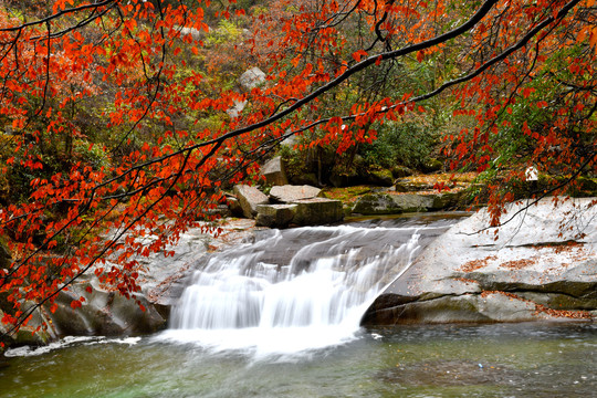 光雾山红叶流水