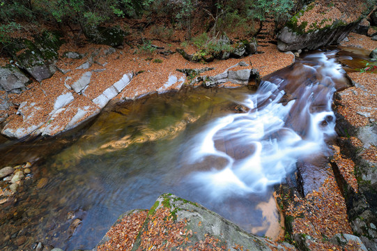 光雾山红叶流水