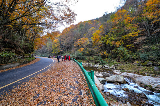 光雾山红叶流水