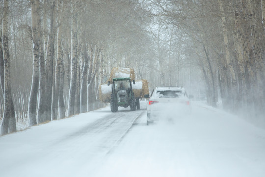 东北暴风雪