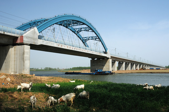 京沪高铁浍河系杆拱大桥