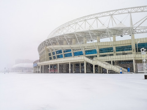 下雪钢构建筑